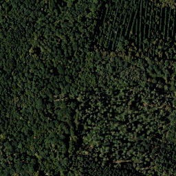 Satellite imagery of Rosenberg, AT