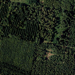 Satellite imagery of Rosenberg, AT