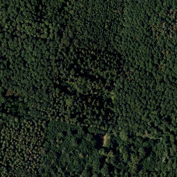 Satellite imagery of Rosenberg, AT