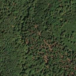 Satellite imagery of Bühl, DE