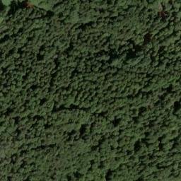 Satellite imagery of Schloss Bebenhausen, DE