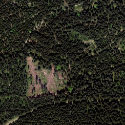Satellite imagery of Viehberg (Freiwald) [Sandl], AT