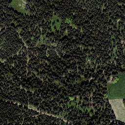 Satellite imagery of Viehberg (Freiwald) [Sandl], AT