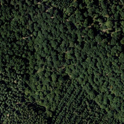 Satellite imagery of Mitterrücken, AT