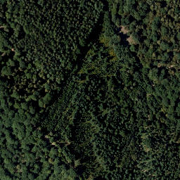 Satellite imagery of Mitterrücken, AT