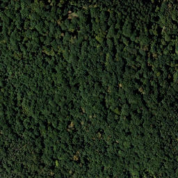 Satellite imagery of Rosenberg, AT