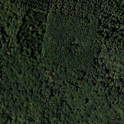 Satellite imagery of Rosenberg, AT