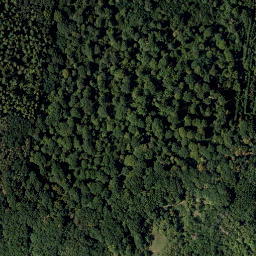 Satellite imagery of Rosenberg, AT