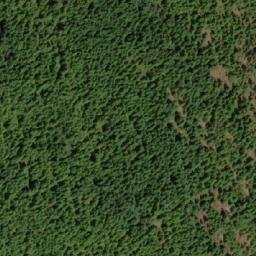 Satellite imagery of Survey Mountain, CA