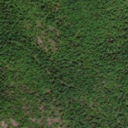 Satellite imagery of Survey Mountain, CA