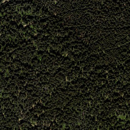 Satellite imagery of Viehberg (Freiwald) [Sandl], AT
