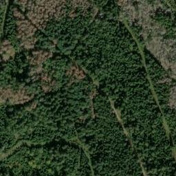 Satellite imagery of Pfälzer Kopf, DE