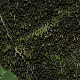 Satellite imagery of Viehberg (Freiwald) [Sandl], AT