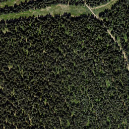 Satellite imagery of Viehberg (Freiwald) [Sandl], AT