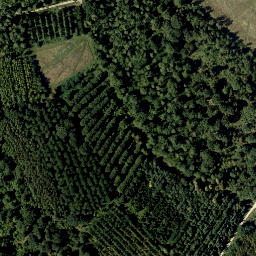 Satellite imagery of Ameisberg, AT