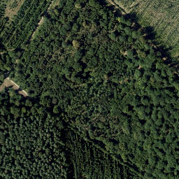 Satellite imagery of Zeilerrücken, AT
