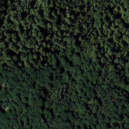 Satellite imagery of Stein Berg, AT