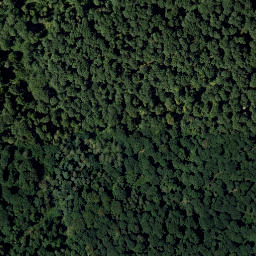 Satellite imagery of Stein Berg, AT