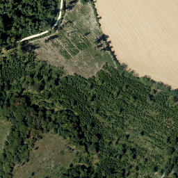 Satellite imagery of Steinberg, AT