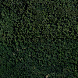 Satellite imagery of Rosenberg, AT