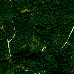 Satellite imagery of Fernmeldeturm Wolfsberg, DE