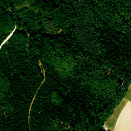 Satellite imagery of Fernmeldeturm Wolfsberg, DE