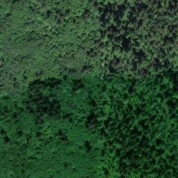 Satellite imagery of Skagit Quarry, US