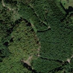 Satellite imagery of Bärtleskopf, DE