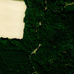 Satellite imagery of Fernmeldeturm Wolfsberg, DE