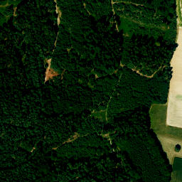 Satellite imagery of Fernmeldeturm Wolfsberg, DE