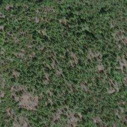 Satellite imagery of Mount Healey, CA