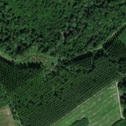 Satellite imagery of Abbaye des Sellières, FR