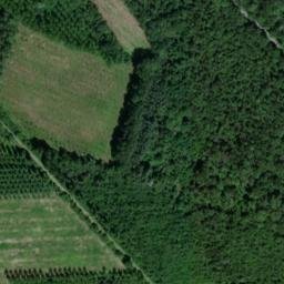 Satellite imagery of Abbaye des Sellières, FR