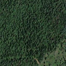 Satellite imagery of Woodrat Mine, US