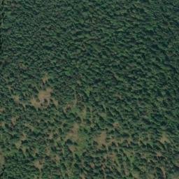Satellite imagery of Woodrat Mine, US