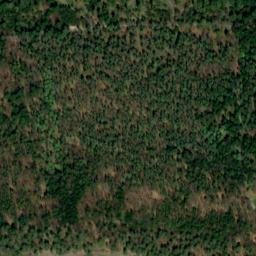 Satellite imagery of Tann, DE