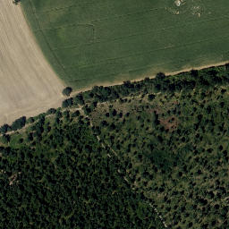 Satellite imagery of Reutwangl, AT