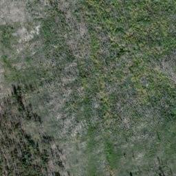 Satellite imagery of Blue Buck Ridge, US