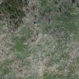 Satellite imagery of Blue Buck Ridge, US