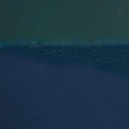 Satellite imagery of Lime Kiln Point, US