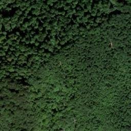 Satellite imagery of Karpfenbühl, DE