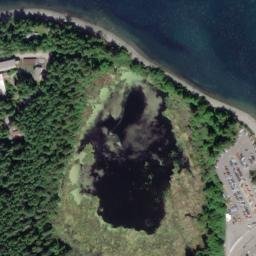 Satellite imagery of Shannon Point, US