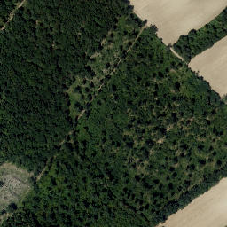 Satellite imagery of Lienen, AT