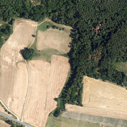 Satellite imagery of Dachsberg, AT