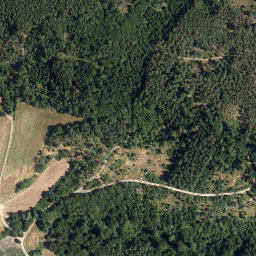 Satellite imagery of Dachsberg, AT