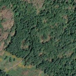 Satellite imagery of Scafe Hill, CA