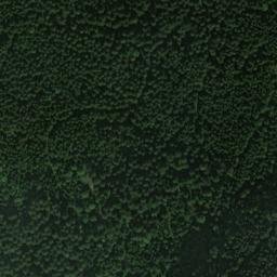 Satellite imagery of Eckenfels, DE