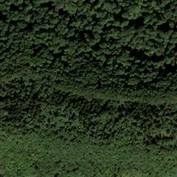 Satellite imagery of Gutenberg, DE