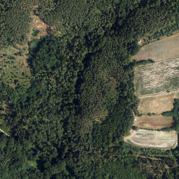 Satellite imagery of Dachsberg, AT
