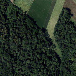 Satellite imagery of Dornberg, AT